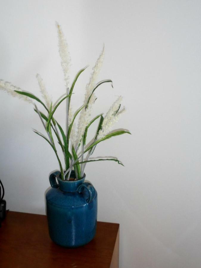 Casa Da Flor Apartment Понта Делгада Екстериор снимка